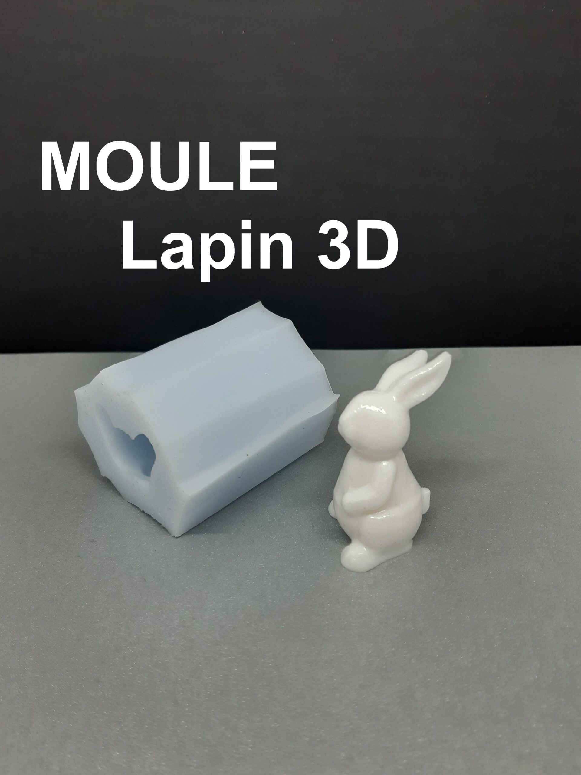 Moule Silicone Lapin 3D] - L'Echo Market